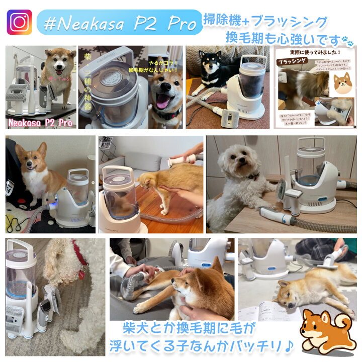 楽天市場】＼20％ポイントバック＋5000円OFFクーポン+特典付き／当日 