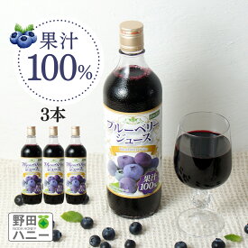【公式】ブルーベリー100%ジュース 720ml×3本 送料無料 濃縮還元 果汁100％ アントシアニン ポリフェノール ブルーベリージュース ブルーベリージュース100% 野田ハニー 無添加 砂糖不使用