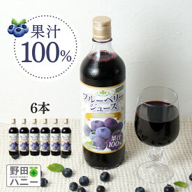 【野田ハニー公式】ブルーベリー100%ジュース 720ml×6本 送料無料 濃縮還元 果汁100％ アントシアニン ポリフェノール ブルーベリージュース ブルーベリージュース100% 野田ハニー 無添加 砂糖不使用