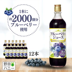 【野田ハニー公式】ブルーベリー100%ジュース 720ml×12本 送料無料 濃縮還元 果汁100％ アントシアニン ポリフェノール ブルーベリージュース ブルーベリージュース100% 野田ハニー 無添加 砂糖不使用