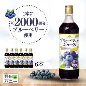 【野田ハニー公式】ブルーベリー100%ジュース 720ml×6本 送料無料 濃縮還元 果汁100％ アントシアニン ポリフェノール ブルーベリージュース ブルーベリージュース100% 野田ハニー 無添加 砂糖不使用