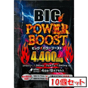 ���C�t�T�|�[�g BIG POWER BOOST �r�b�O�p���[�u�[�X�g 8�J�v�Z��(4����)×10�Z�b�g�u���[���֑�������(A)�v
