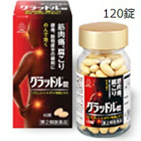 【第2類医薬品】湧永 グラッドル錠 120錠「宅配便送料無料(B)」