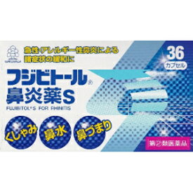 【第(2)類医薬品】湧永 フジビトール鼻炎薬S 36カプセル「宅配便送料無料(B)」