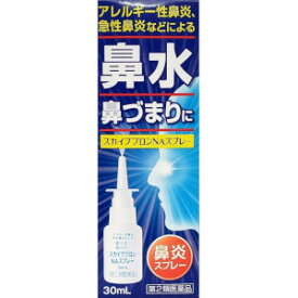 【第2類医薬品】AFB 日新薬品工業 スカイブブロンNAスプレー 30mL