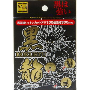 CtT|[g Cv  4u[֑(A)v