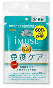 L iMUSE ƉuPATvg 240(60)(@\\Hi)uz֑(B)v