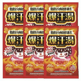 バイソン 爆汗湯 ホットアロマの香り 60g×6個セット「メール便送料無料(A)」