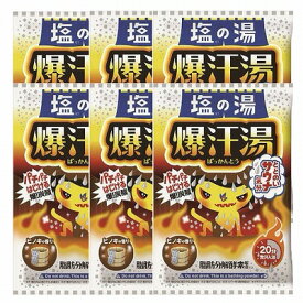 バイソン 爆汗湯 塩の湯 ヒノキの香り 60g×6個セット「メール便送料無料(A)」