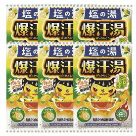 バイソン 爆汗湯 塩の湯 ユズの香り 60g×6個セット「メール便送料無料(A)」