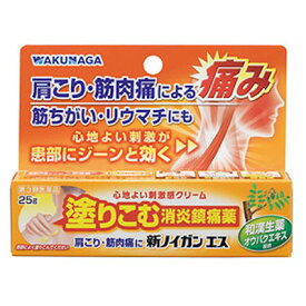 【第3類医薬品】湧永 新ノイガンエス 25g「メール便送料無料(A)」
