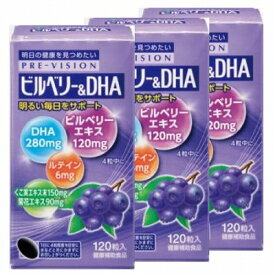湧永 プレビジョン ビルベリー＆DHA 120粒×3個セット「宅配便送料無料(B)」