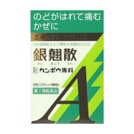 楽天市場 漢方薬 銀 翹 散の通販