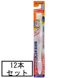 吳 ȗpfgEFRpNg 炩×12{Zbgu[֑(A)v