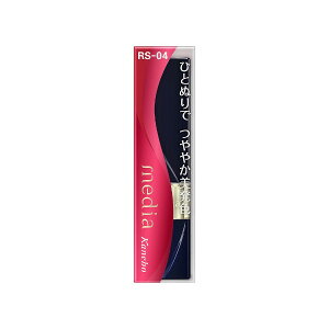 Jl{E fBA uCgAbv[W RS-04 3.1gu[֑(A)v