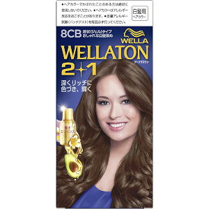 �E�G���g�[��2+1 �t��^�C�v 8CB 43mL+86mL+5.5mL
