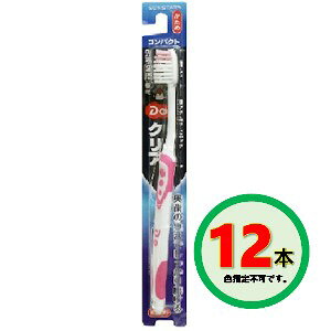 TX^[ DoNAnuV RpNg ×12Zbgu[֑(A)v