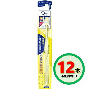 TX^[ Ora2 I[c[~[ nuV XpCLb` ×12Zbgu[֑(A)v