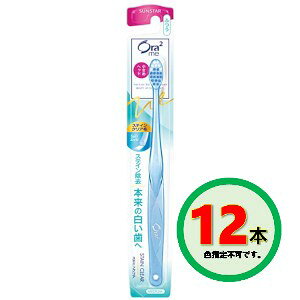 TX^[ Ora2 I[c[~[ XeCNA nuV ӂ×12Zbgu[֑(A)v