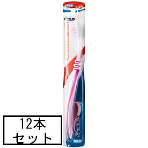 GSK ANAtbVnuV ×12{Zbgu[֑(A)v