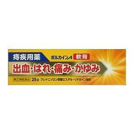 【第(2)類医薬品】AFB 中外医薬生産 ボルカインA軟膏 25g「メール便送料無料(A)」