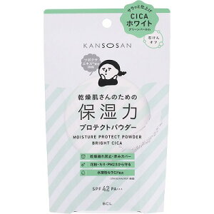 BCL  ێ̓veNgpE_[ uCgVJ 10g