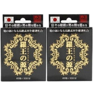 CtT|[g ̌ 60×2Zbguz֑(A)v