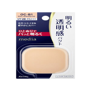 Jl{E fBA uCgAbvpNg OC-B1 11.5 gu[֑(A)v