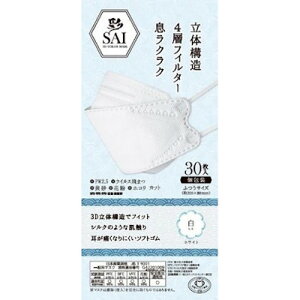   SAI 3D ̃J[}XN zCg ӂ30()