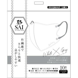   SAI 3D ̃J[}XN zCg×O[ 傫10