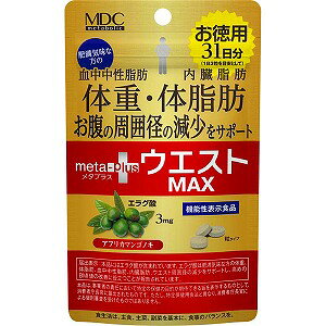 ^{bN ^vXEGXgMAX 93u[֑(A)v