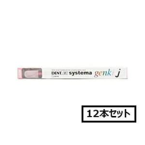 ���C�I�� DENT.EX �V�X�e�} genki j×12�{�Z�b�g�u���[���֑�������(A)�v