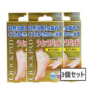 AJD h NCbNpbh Cp 8×3Zbgu[֑(A)v