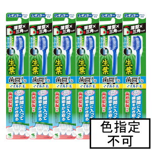 ѐ tԂɓuV}Ch M[炩×6{Zbgu[֑(A)v