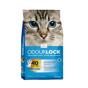 HappyDays lR I[hbN 6kguz֑(A)v