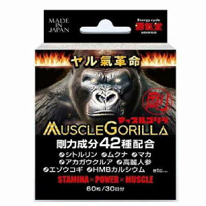 CtT|[g MUSCLE GORILLA }bXS 60uz֑(B)v