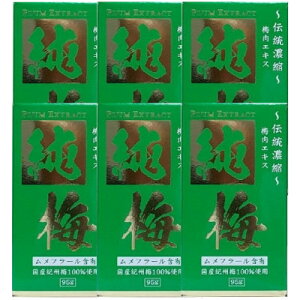 TwX ~GLX 95g×6Zbguz֑(C)v