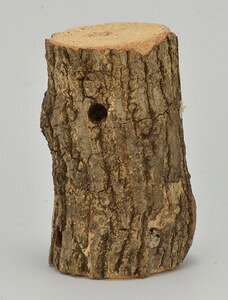 �O�W���� ���I����