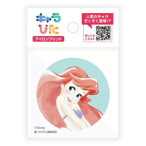 C[W}WbN fBYj[vZX ACvgV[g ~jTCY WD-C-PR1-mi5u[֑(A)v