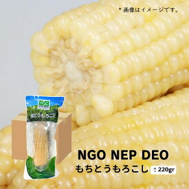 糯 トウモロコシ 260g（ 40本入 1箱 ), NGO NEP HSC 260g 1 THUNG