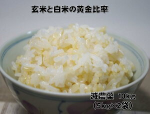 yVā^ߘa7NYzyʍ͔|z䗦wV[10kgi5kg×2܁jy^茺30z̖āzy茺ā^ā^āziF1000~Zj