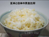 【特別栽培】黄金比率ヘルシー米5kg【玄氣／発芽玄米30％配合の無洗米】【発芽玄米／白米／無洗米】送料…