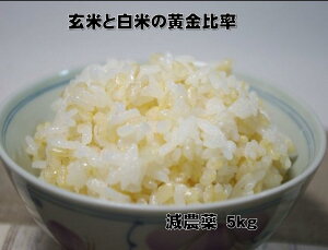 yʍ͔|z䗦wV[5kgy^茺30z̖āzy茺ā^ā^āziF1000~Zj