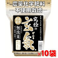 【究極の玄氣】1.5kg×10袋（15kg 真空パック）【農薬・化学肥料不使用栽培】数量限定・巨大胚芽の発芽玄…