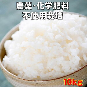 y_Ew엿sgp͔|zāiāj10kgi5kg×2܁jiFꌧ1000~ZjiʐĂɂΉł܂)yāE͖ĕsz