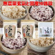 【農薬・化学肥料不使用栽培の玄氣】発芽玄米1.5kg×2袋と国産16雑穀米300gの送料無料セット（沖縄を除く…