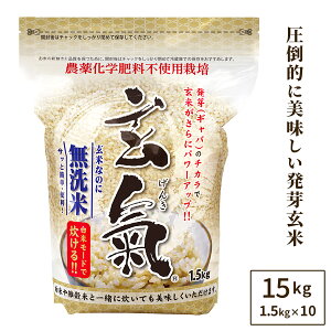 �y�_��E���w�엿�s�g�p�͔|�̌����z1.5kg×10�܁i15kg �j���ă��[�h�����閳���Ă̔��茺�Ė��_��i�_��E���w�엿�s�g�p�j�͔|��������
