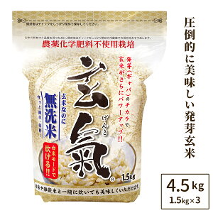 �y�_��E���w�엿�s�g�p�͔|�̌����z1.5kg×3�܁i4.5kg �j���ă��[�h�����閳���Ă̔��茺�Ė��_��i�_��E���w�엿�s�g�p�j�͔|���������i���ꌧ��1000�~���Z�j