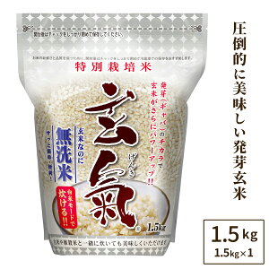 �y���ʍ͔|�̌����z1.5kg���ʍ͔|�̔��茺�Ĕ��ă��[�h�����閳���Ă̔��茺�đ��������i���ꌧ����������1000�~���Z�j