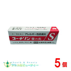 コーチゾン雪の元S（6g）×5本【指定第2類医薬品 】しっしん ひび あかぎれ　かゆみ止め おきくすり 配置薬 常備薬 雪の元本店ネコポス発送です